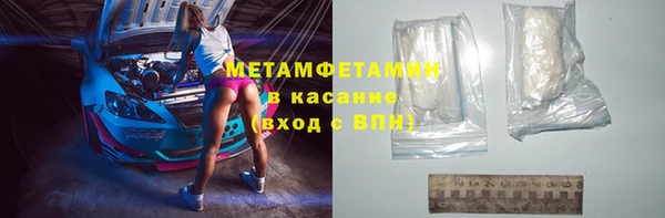 прущие грибы Михайлов
