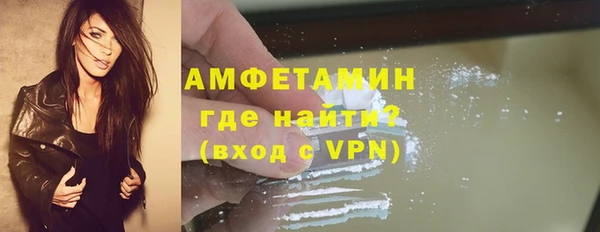 прущие грибы Михайлов