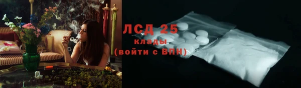 прущие грибы Михайлов