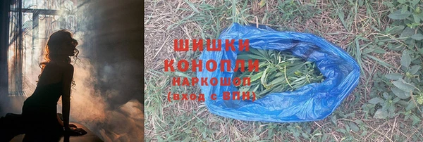 прущие грибы Михайлов