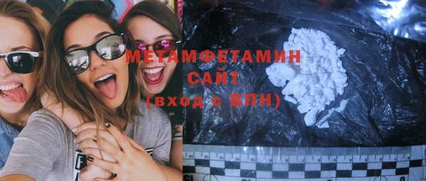 прущие грибы Михайлов