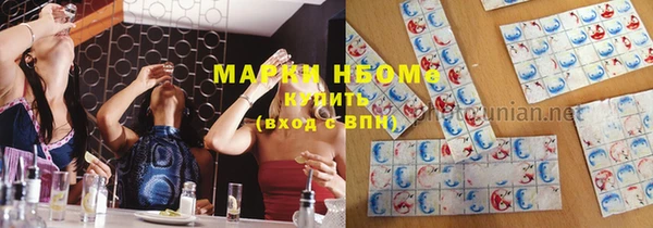 прущие грибы Михайлов