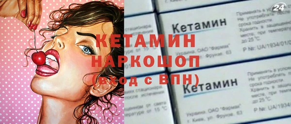 прущие грибы Михайлов
