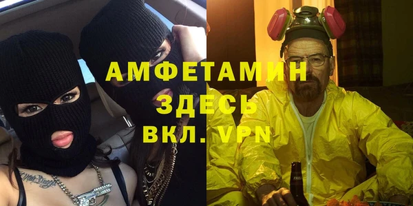 прущие грибы Михайлов