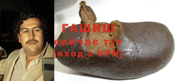прущие грибы Михайлов