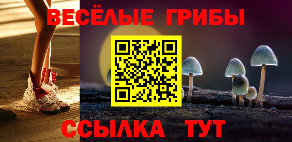 Псилоцибиновые грибы Psilocybe  Вход с VPN  Тихорецк 